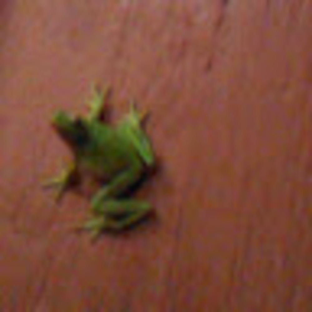 Meet your Posher, Jackie